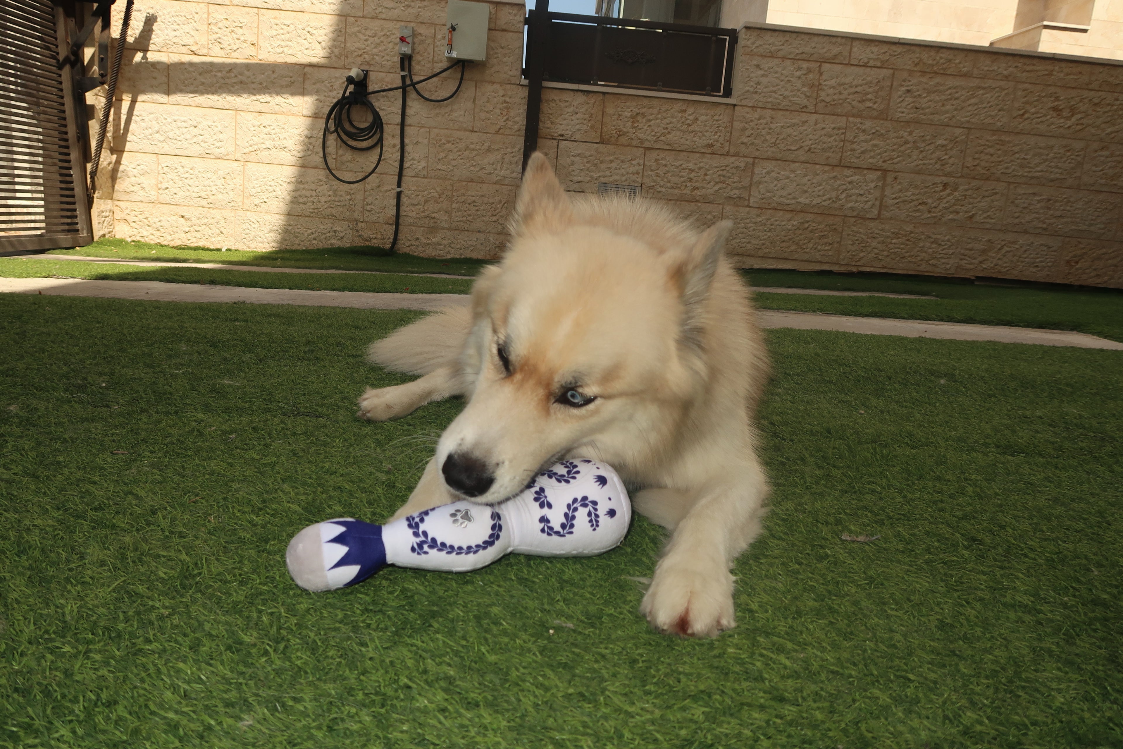 CA&Rey Tequila Dog Toy