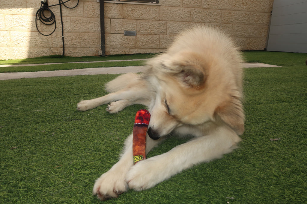 S&Rey Cigar Dog Toy